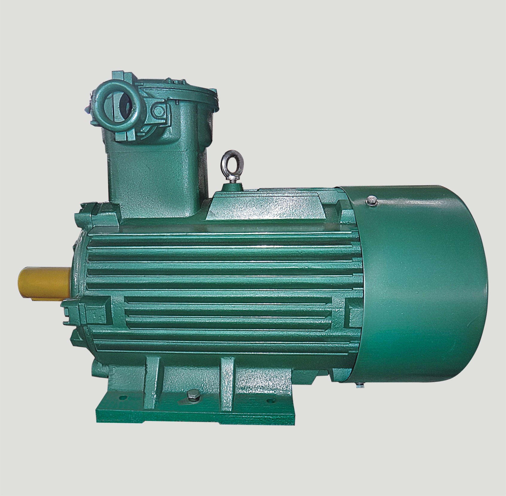 隔爆型三相異步電動機(jī)